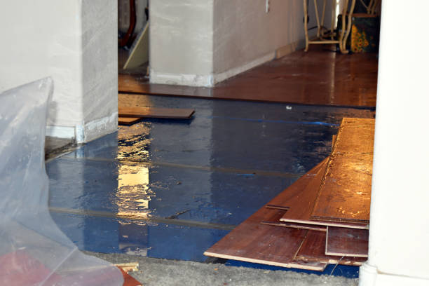 Professional Sewage Cleanup technician working in Maple Rapids, MI